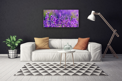 Foto quadro su tela Campo di lavanda viola