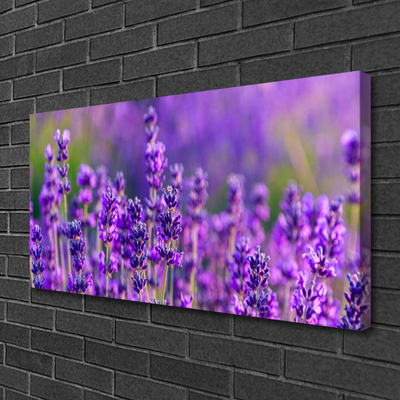 Foto quadro su tela Campo di lavanda viola