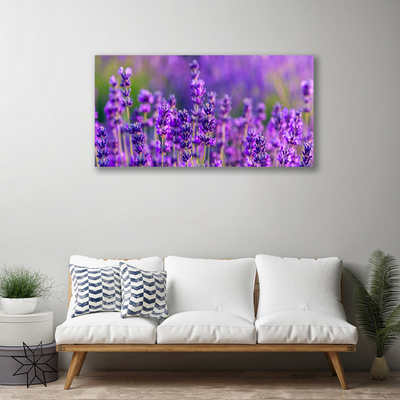 Foto quadro su tela Campo di lavanda viola