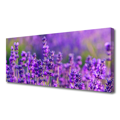 Foto quadro su tela Campo di lavanda viola