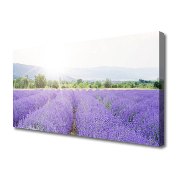 Quadro su tela Campo di lavanda Natura del prato