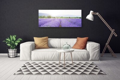 Quadro su tela Campo di lavanda Natura del prato