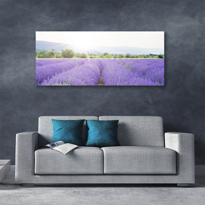 Quadro su tela Campo di lavanda Natura del prato