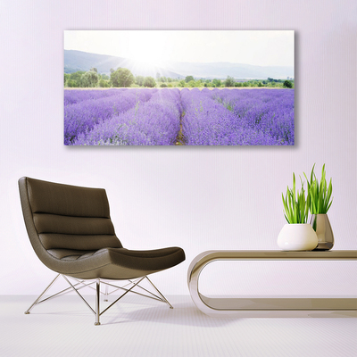 Quadro su tela Campo di lavanda Natura del prato