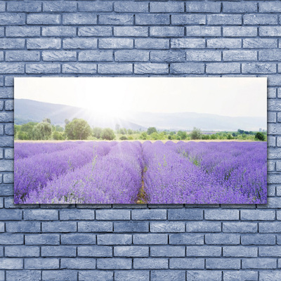 Quadro su tela Campo di lavanda Natura del prato