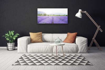 Quadro su tela Campo di lavanda Natura del prato