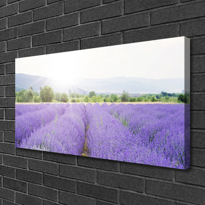 Quadro su tela Campo di lavanda Natura del prato