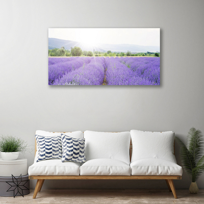 Quadro su tela Campo di lavanda Natura del prato