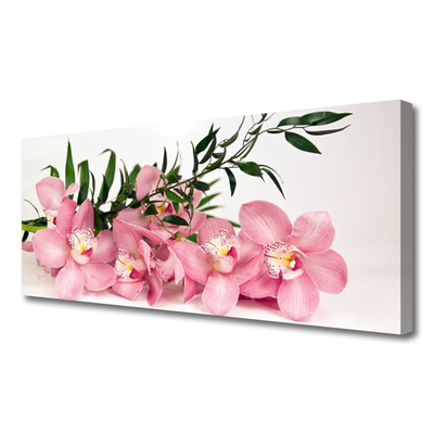 Stampa quadro su tela Terme di fiori di orchidea