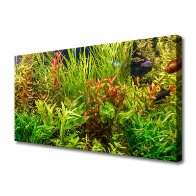 Quadro su tela Acquario, pesci, piante