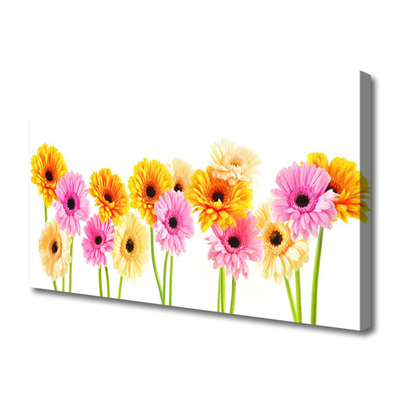 Quadro su tela Fiori colorati di gerbere