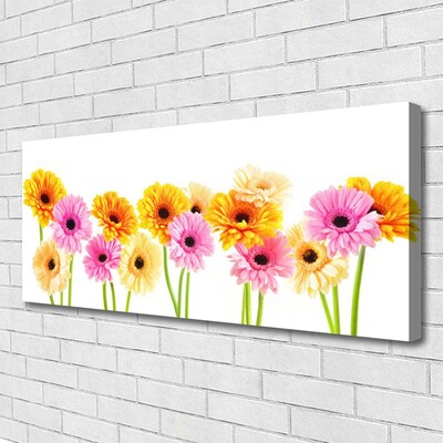 Quadro su tela Fiori colorati di gerbere