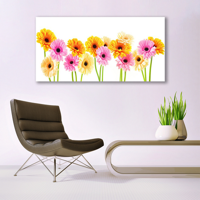 Quadro su tela Fiori colorati di gerbere