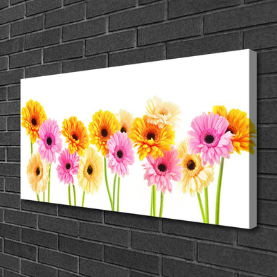 Quadro su tela Fiori colorati di gerbere