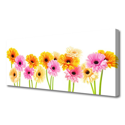 Quadro su tela Fiori colorati di gerbere