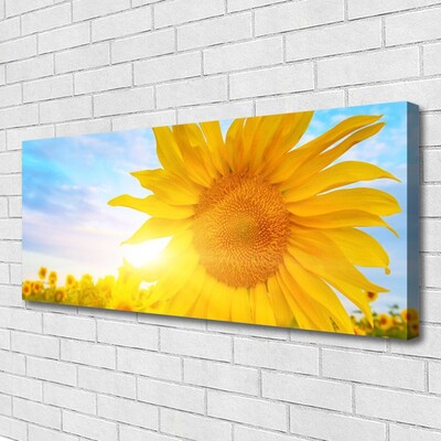 Quadro su tela Fiore di girasole girasole