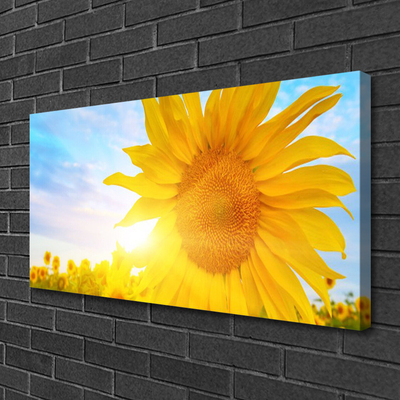 Quadro su tela Fiore di girasole girasole