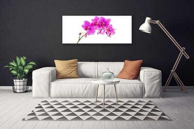 Quadro su tela Orchidea Fiore di orchidea