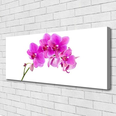 Quadro su tela Orchidea Fiore di orchidea