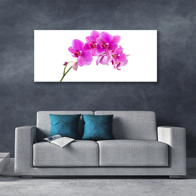 Quadro su tela Orchidea Fiore di orchidea