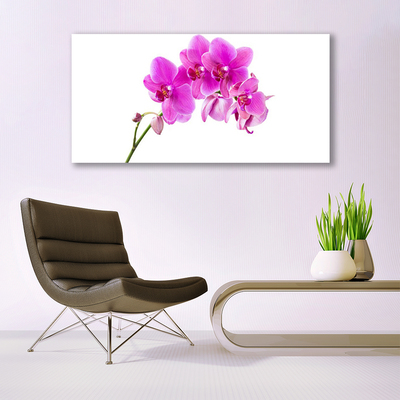 Quadro su tela Orchidea Fiore di orchidea