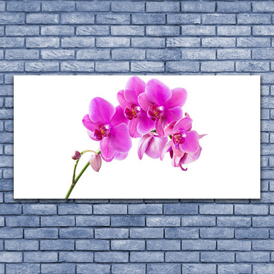 Quadro su tela Orchidea Fiore di orchidea