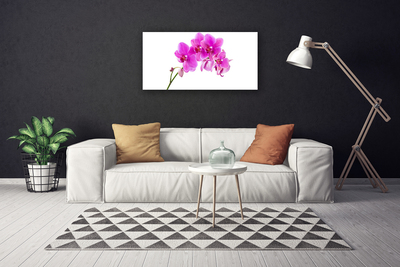 Quadro su tela Orchidea Fiore di orchidea