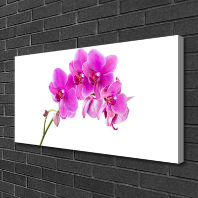 Quadro su tela Orchidea Fiore di orchidea