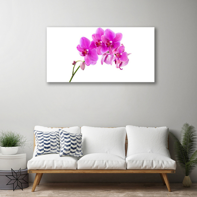 Quadro su tela Orchidea Fiore di orchidea