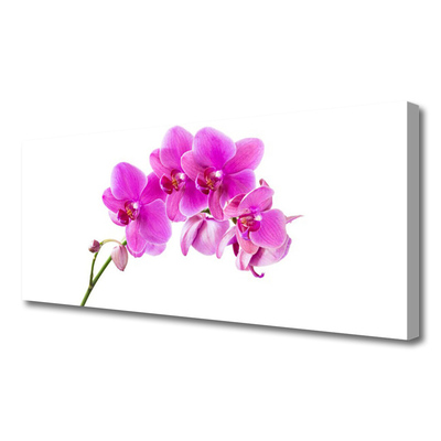 Quadro su tela Orchidea Fiore di orchidea