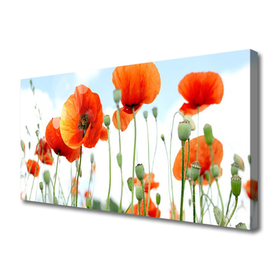 Quadro su tela Prato Papaveri Fiori Natura Campo