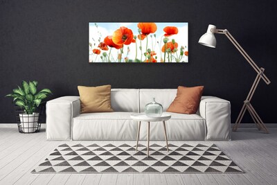 Quadro su tela Prato Papaveri Fiori Natura Campo