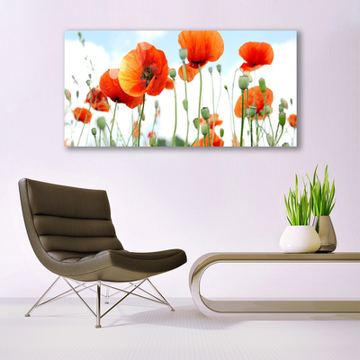 Quadro su tela Prato Papaveri Fiori Natura Campo