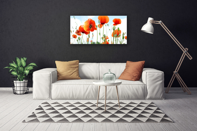 Quadro su tela Prato Papaveri Fiori Natura Campo