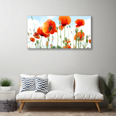 Quadro su tela Prato Papaveri Fiori Natura Campo