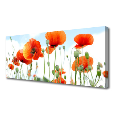 Quadro su tela Prato Papaveri Fiori Natura Campo