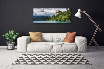 Foto quadro su tela Castello nel paesaggio della foresta delle montagne