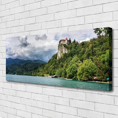 Foto quadro su tela Castello nel paesaggio della foresta delle montagne