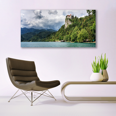 Foto quadro su tela Castello nel paesaggio della foresta delle montagne