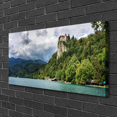 Foto quadro su tela Castello nel paesaggio della foresta delle montagne