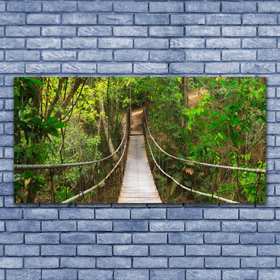 Quadro su tela Ponte della giungla della foresta tropicale