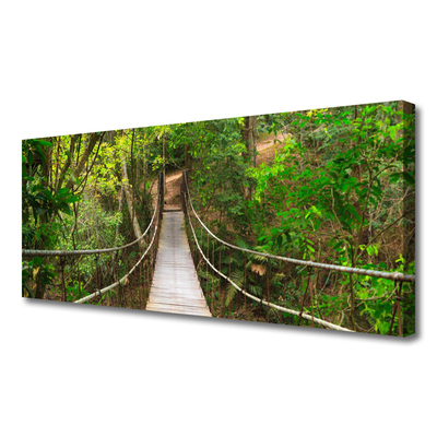 Quadro su tela Ponte della giungla della foresta tropicale