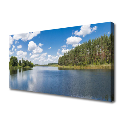 Quadro su tela Paesaggio della foresta del lago