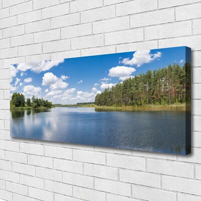 Quadro su tela Paesaggio della foresta del lago