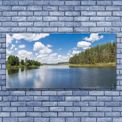 Quadro su tela Paesaggio della foresta del lago