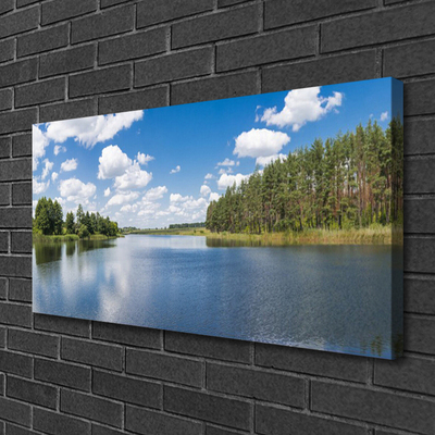 Quadro su tela Paesaggio della foresta del lago