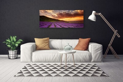 Quadro su tela Tramonto sul campo di lavanda