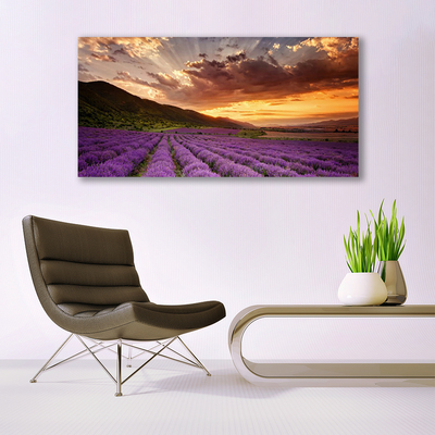 Quadro su tela Tramonto sul campo di lavanda