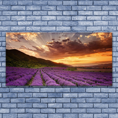 Quadro su tela Tramonto sul campo di lavanda