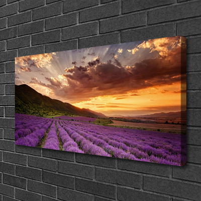 Quadro su tela Tramonto sul campo di lavanda